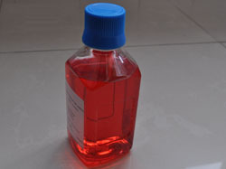 胰蛋白酶－EDTA消化液(0.25%)含酚红